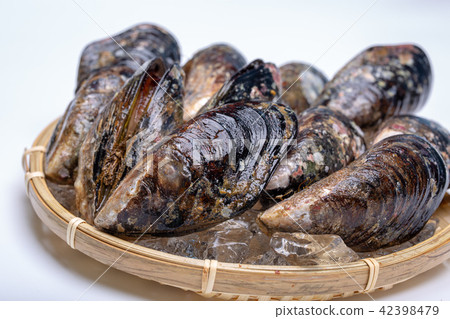 Mussel Foodstuff 42398479