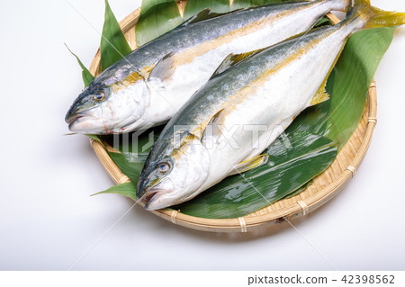 Hiramasa food ingredients Hiramasa food ingredients 42398562