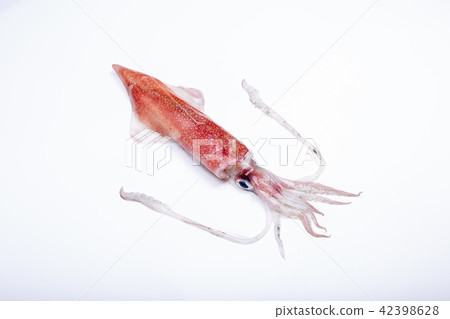 White squid ingredients 42398628