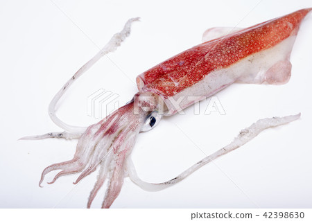 White squid ingredients White squid ingredients 42398630