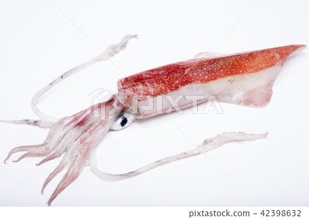 白魷魚成分 42398632