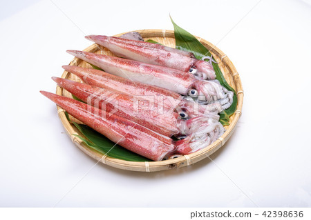 白魷魚成分 白魷魚成分 42398636