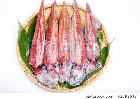 白魷魚成分 白魷魚成分 42398638