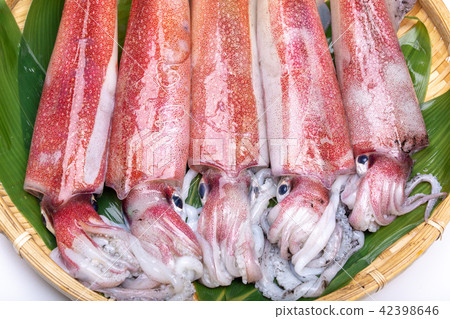 白魷魚成分 白魷魚成分 42398646