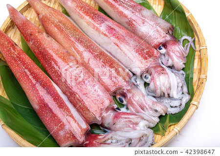 白魷魚成分 42398647