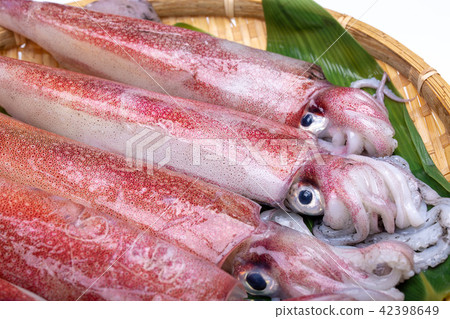 White squid ingredients White squid ingredients 42398649