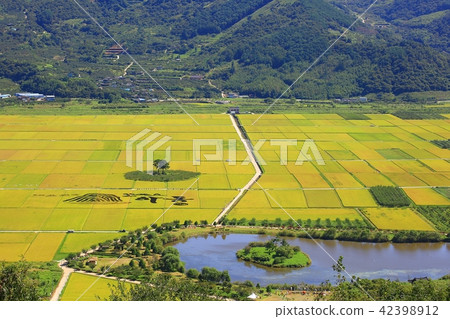 秋天的風景! 秋天的風景! 42398912