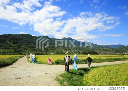 Autumn scenery! Autumn scenery! 42398925