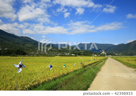 Autumn scenery! Autumn scenery! 42398933