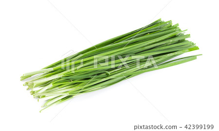 Garlic chives isolated on white background Garlic chives isolated on white background 42399199