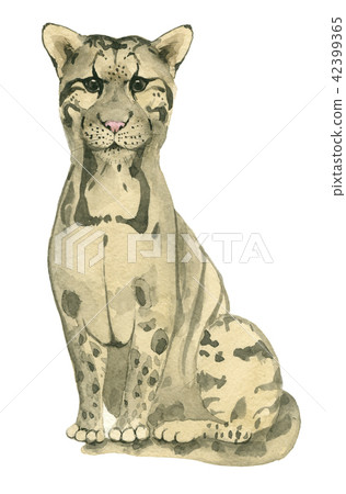 hand drawn panther hand drawn panther 42399365