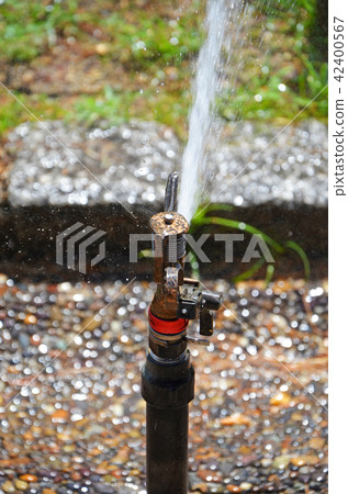 Sprinkler Sprinkler 42400567