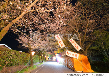 Yoshidaoka Park 42400650