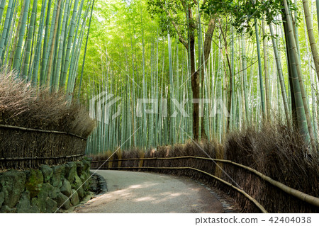 Bamboo Road 42404038