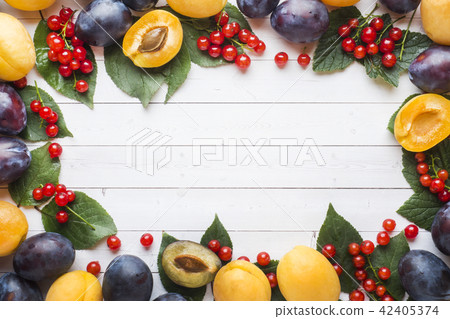 Fresh plum, apricot and red currant berries Fresh plum, apricot and red currant berries 42405374