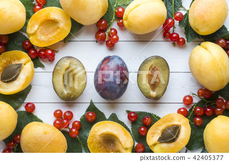Fresh plum, apricot and red currant berries Fresh plum, apricot and red currant berries 42405377