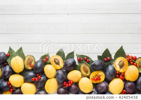 Fresh plum, apricot and red currant berries Fresh plum, apricot and red currant berries 42405438