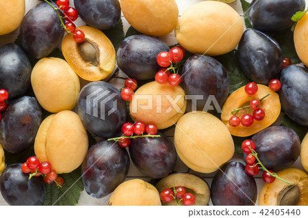 Fresh plum, apricot and red currant berries 42405440