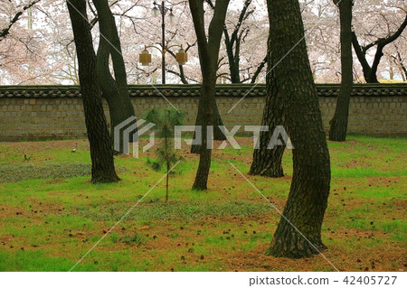 Gyeongju Daehungwon Gyeongju Daehungwon 42405727