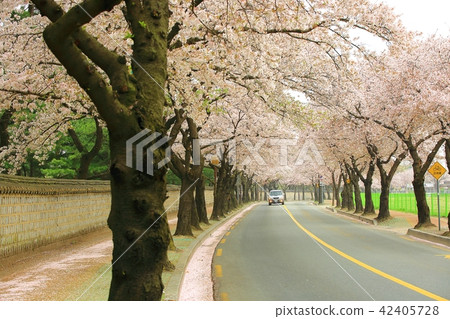 Gyeongju Daehungwon 42405728