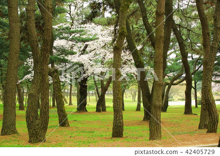 Gyeongju Daehungwon 42405729