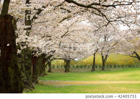 Gyeongju Daehungwon Gyeongju Daehungwon 42405731