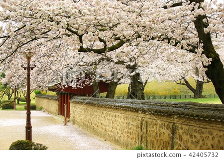 Gyeongju Daehungwon Gyeongju Daehungwon 42405732