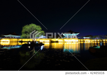 Anapji night view! Anapji night view! 42405816