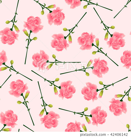 Pink Carnation Flower on Pink Background 42406142