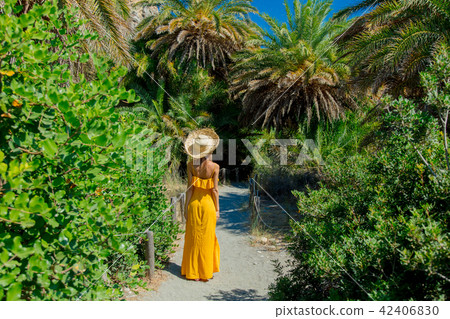 girl have rest in palm forest  42406830