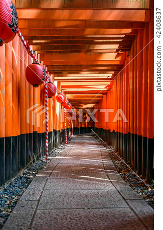 Fushimi-Inari Taisha Shrine Torii Torii Fushimi-Inari Taisha Shrine Torii Torii 42408637