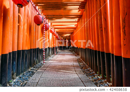 Fushimi-Inari Taisha Shrine Torii Torii Fushimi-Inari Taisha Shrine Torii Torii 42408638
