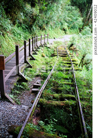 觀光老人行道，草原，電車道，台灣，宜蘭縣，大同鎮，森林 42409012