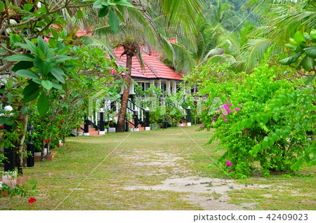 South Island South Island 42409023