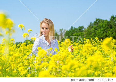 Woman in a meadow in yellow flowers 42409107