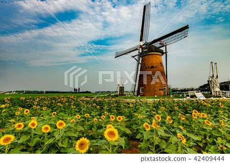 Sakura Furusato Plaza Windmill Sunflower Garden Sakura Furusato Plaza Windmill Sunflower Garden 42409444
