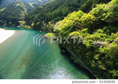 Clear flow in the middle area of the Niyodogawa ichi-cho, Kochi prefecture Clear flow in the middle area of the Niyodogawa ichi-cho, Kochi prefecture 42409686