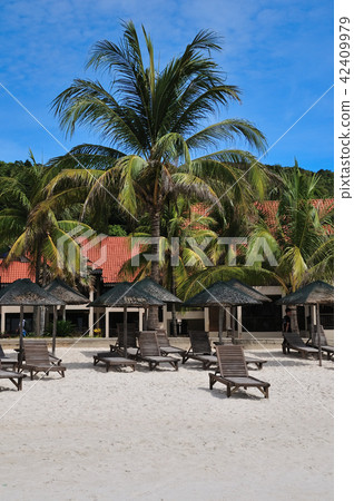 Beach Resort 42409979