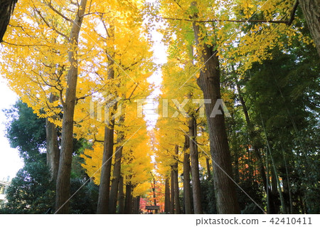 Otaku公園秋葉 42410411