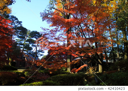 Otaku公園秋葉 42410423