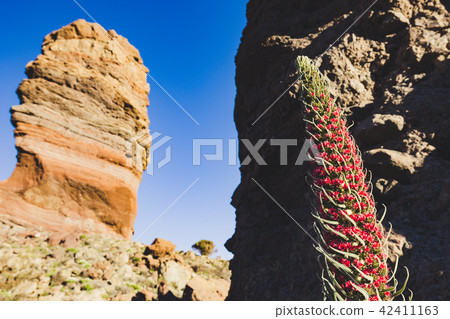 Roque Cinchado unique rock formation Roque Cinchado unique rock formation 42411163
