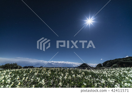 Night view of Nunikisaki Park 42411571