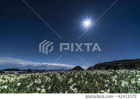 Nunikisaki公園夜視圖 Nunikisaki公園夜視圖 42411572