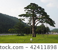 Jieyoung Song，Songni Mountain 42411898