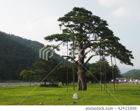 Jieyoung Song,Songni Mountain Jieyoung Song,Songni Mountain 42411898