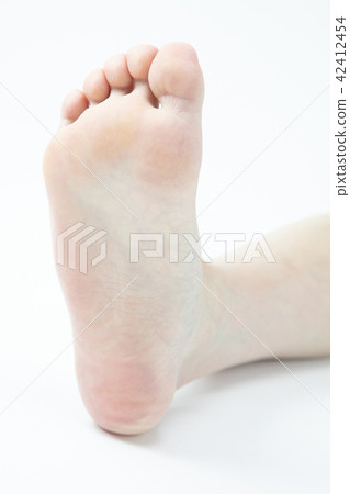 Female foot 42412454