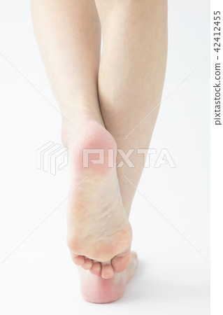 Female foot 42412455