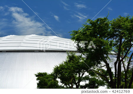 Met Life Dome (Seibu Dome) 42412769