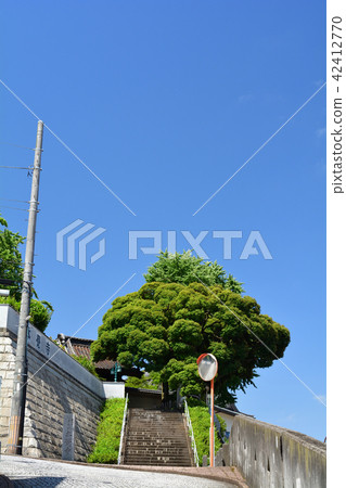 Yokohama · Honka-ji 42412770