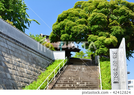 橫濱·Honka-ji 42412824